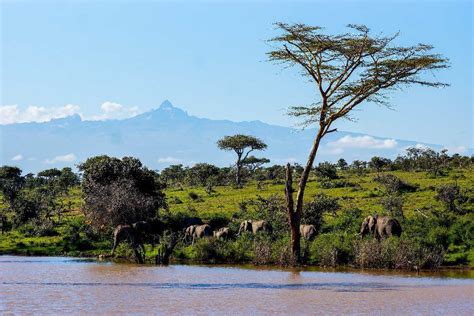 Mount Kenya National Park Tourism (2024) - Kenya > Top Places, Travel ...