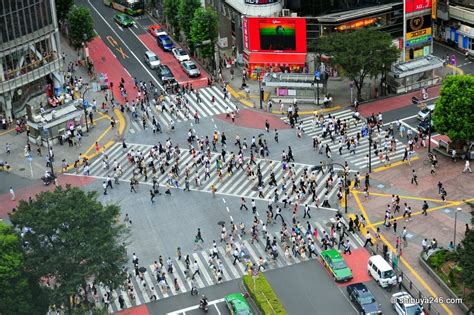 Tokyo’s Iconic Shibuya Crossing | Amusing Planet