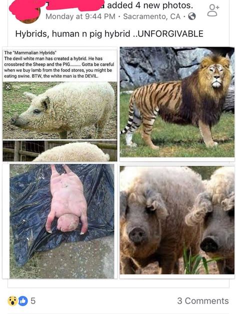 The bottom left photo is apparently a human-pig hybrid born to a sheep ...