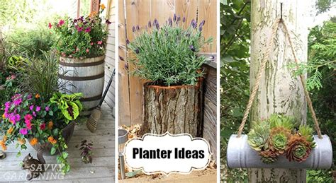 Planter Ideas: 18 Inspiring Design Tips for Gorgeous Garden Containers