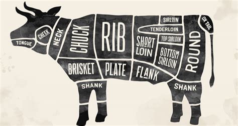 All the Cuts of Beef Explained - Your Guide to Buying Beef - Smoked BBQ ...