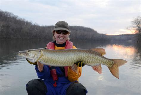 Muskellunge - A-Z Animals