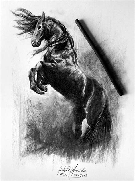 Dark Horse Drawing