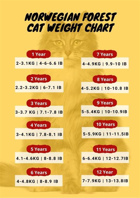 Cat Weight Chart By Age & Height In Kg, Ibs ⚖