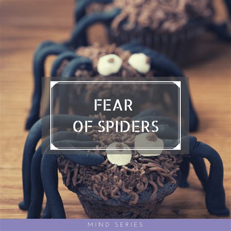 Fear of Spiders (New) | Mind Series