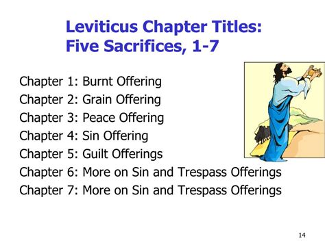 5 Offerings Of Leviticus