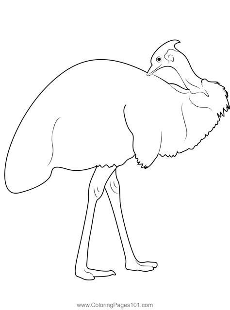 Care For Emu Bird Coloring Page for Kids - Free Emus Printable Coloring ...