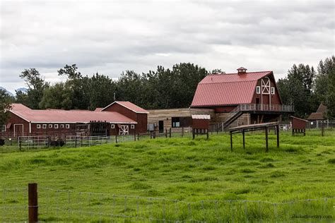 Exploring the Unique Musk Ox Farm in Palmer