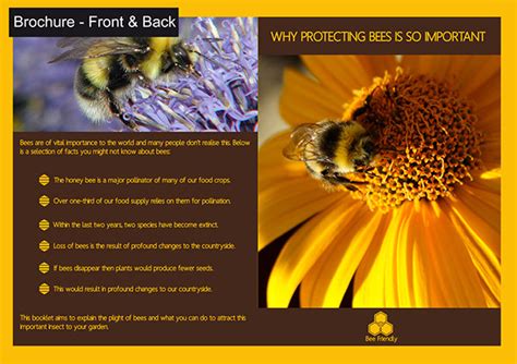 Bee Friendly- Bee Conservation Campaign :: Behance