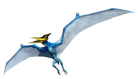 Pteranodon Dinosaur King