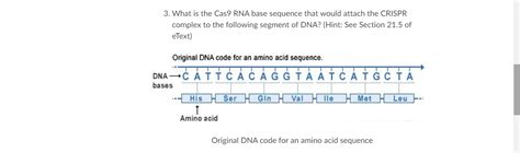 [Solved] How do i determine the Cas9 RNA base sequence? 3. What is the ...