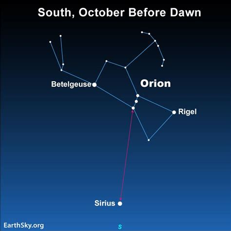 Brightest Star, Sirius, High On October Mornings - TrendRadars