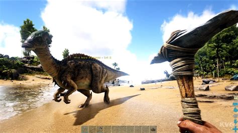 ARK: Survival Evolved Gameplay (PC HD) [1080p60FPS] - YouTube