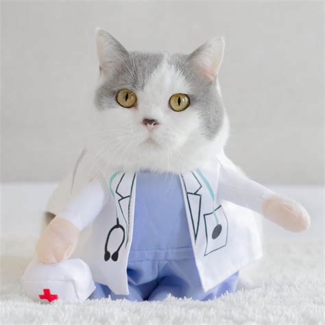 36 Best Cat Costumes to Get in 2024: Cat Halloween Costumes