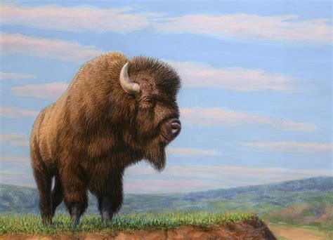 American Bison Painting by James W Johnson - Fine Art America