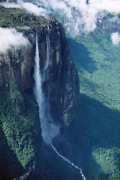 Un trocito del paraíso de la selva venezolana