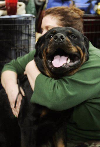 13 pictures of humans hugging animals that will make you feel better