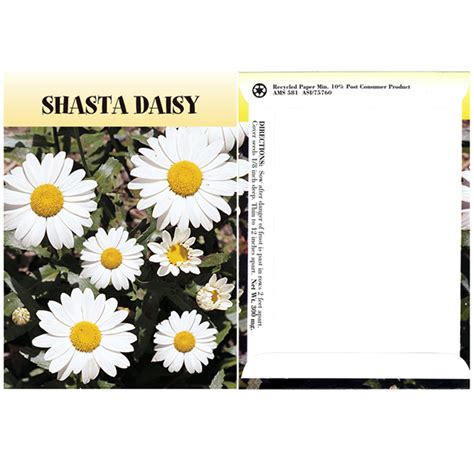 Shasta Daisy Seeds | Lawn & Garden