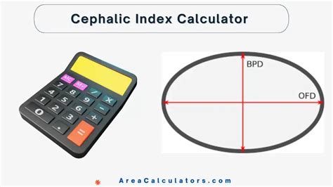 Cephalic Index Calculator - Online Calculators