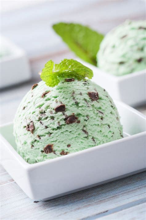 Homemade Mint Chocolate Chip Ice Cream - A Food Lover's Kitchen