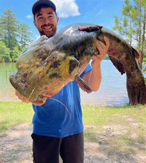 Whiskers in the water! [different types of catfish] | N1 Outdoors