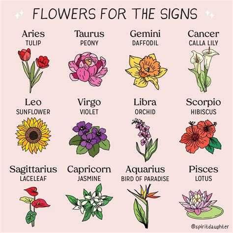 Discover the Zodiac Flowers for Your Sign