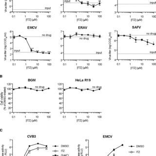 Classification of the virus family Picornaviridae . The clinically most ...