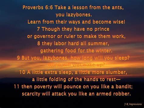 Proverbs 6:6-11 | Proverbs, Proverbs 6, Bible verses