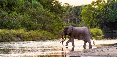 Tourism in the Democratic Republic of Congo | Congo Tourism | Congo tour