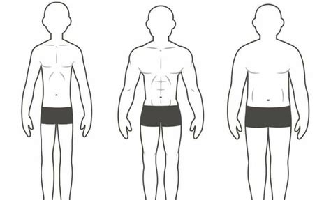 The Three Different Body Types and How They Affect Your Training