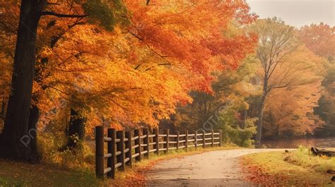 Autumn In Fall Scenery Wallpapers Background, Picture Of Fall Scenes ...