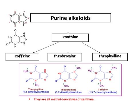 Biosynthetic classification of alkaloids