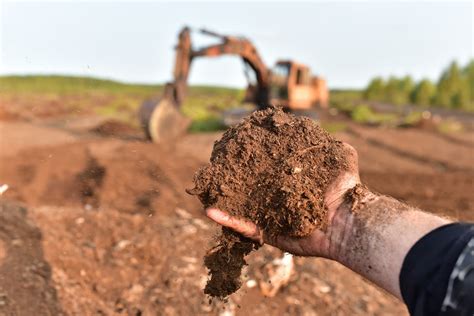 Why Peat-Based Compost Is Not An Environmentally Friendly Choice ...