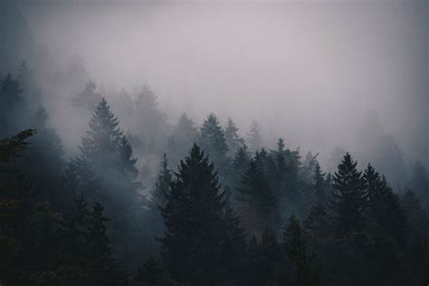 003 Mountain Forest Foggy Wallpaper 1920x1280p Free - Forest Double ...