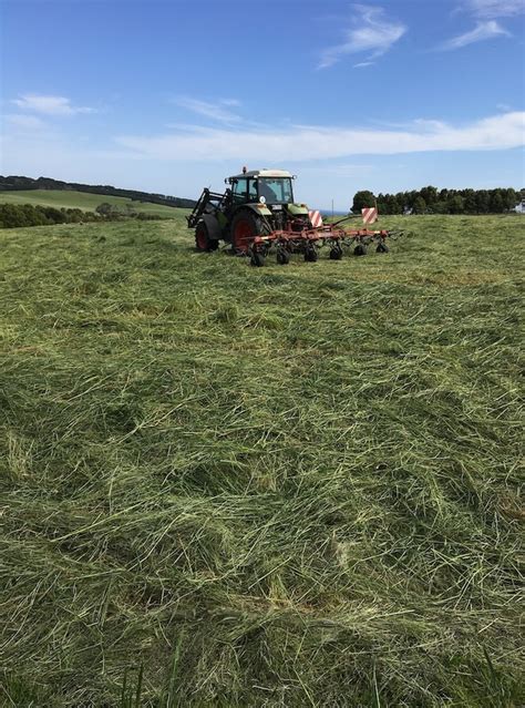 320 x Silage 600kg Round Bales | Farm Tender