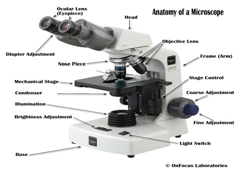 Labeled Microscope