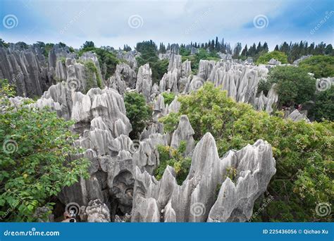 South China Karst stock photo. Image of wilderness, rock - 225436056