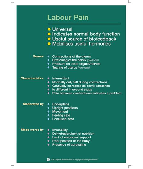 Labour Pain Set of 5 Charts