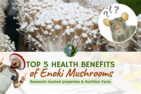 Enoki Mushroom Benefits & Nutrition Facts