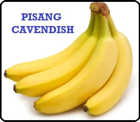 Anim Agro Technology: PISANG CAVENDISH - APA DIA?