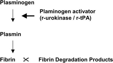 Fibrinolytic System. | Download Scientific Diagram