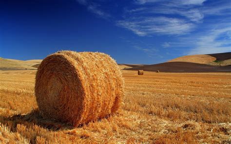 🔥 [50+] Hay Bale Wallpapers | WallpaperSafari