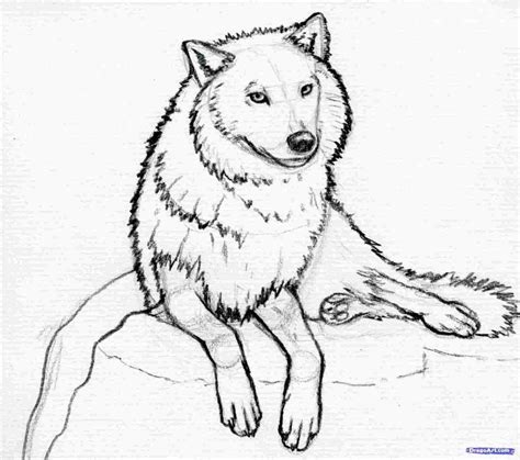 Simple Wolf Drawing at PaintingValley.com | Explore collection of ...