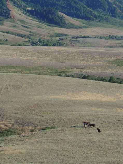 Pin on TX Ranch