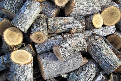 Free Firewood: 8 Places to Find It Near You • Insteading