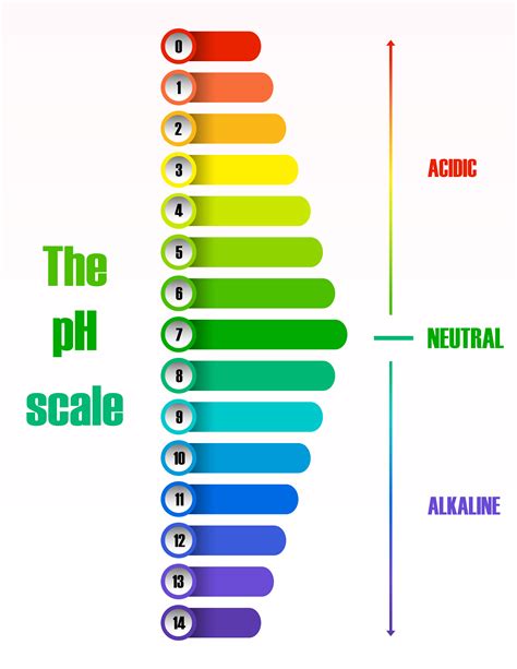 The ph scale diagram 541433 Vector Art at Vecteezy