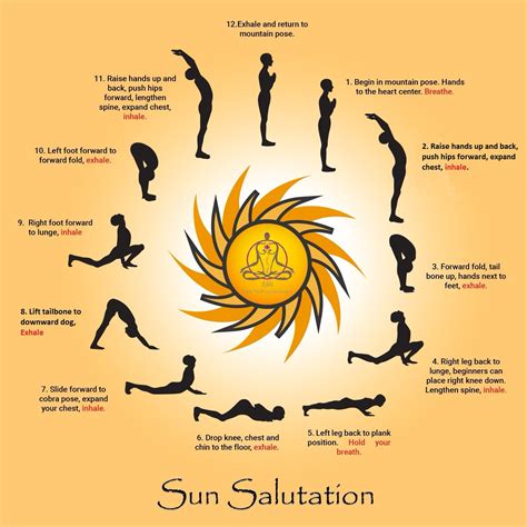 Kool Images Gallery Surya Namaskar The Sun Salutation – NBKomputer