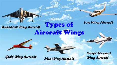 Types of Wings in Aircraft | Aircraft Wings | Airplane Wings | Aircraft ...