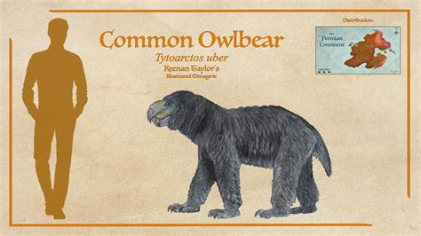 Common Owlbear by IllustratedMenagerie on DeviantArt