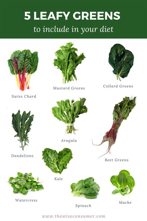 Get List Of Green Leafy Vegetables In Philippines Images – Cebol Wallspot